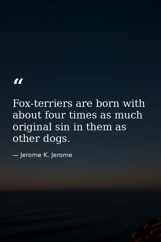 Fox-terriers are born with about four times as much original sin in them as other dogs. — Jerome K. Jerome