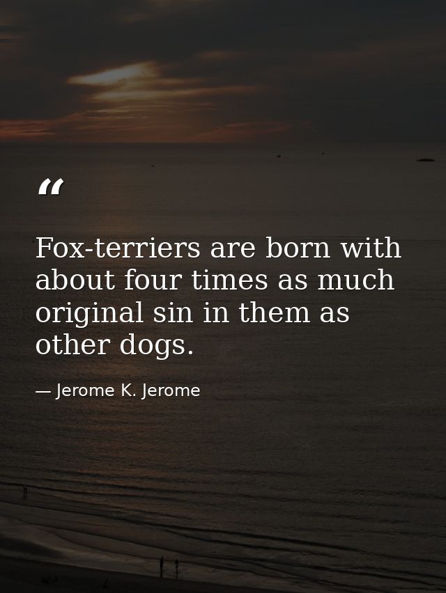 Fox-terriers are born with about four times as much original sin in them as other dogs. — Jerome K. Jerome