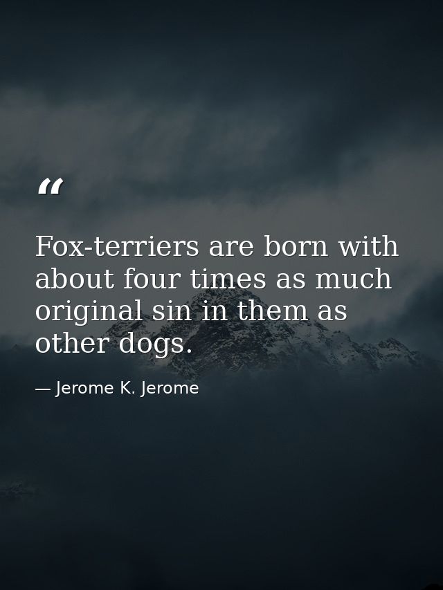 Fox-terriers are born with about four times as much original sin in them as other dogs. — Jerome K. Jerome
