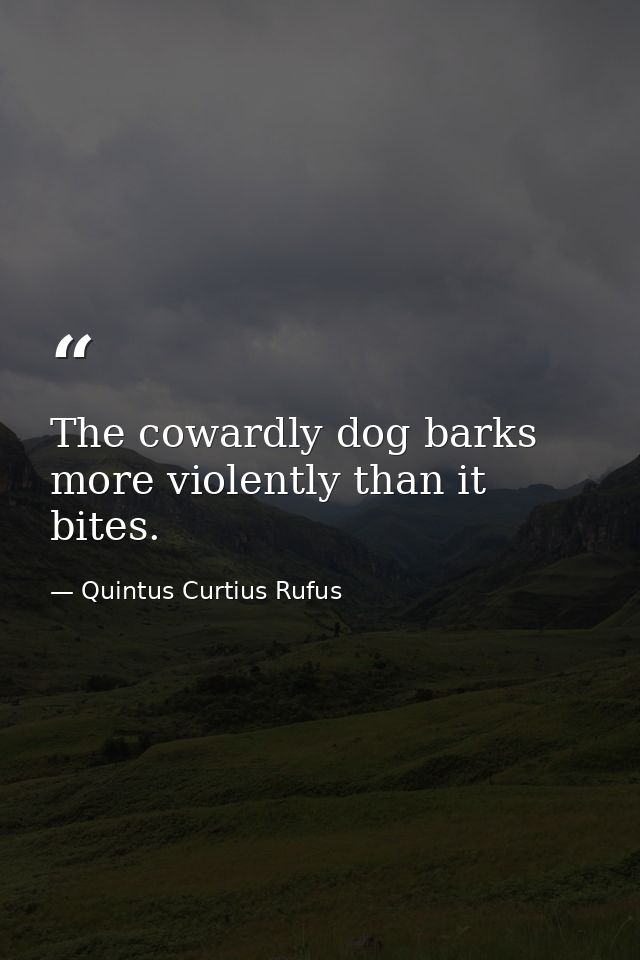 The cowardly dog barks more violently than it bites. — Quintus Curtius Rufus