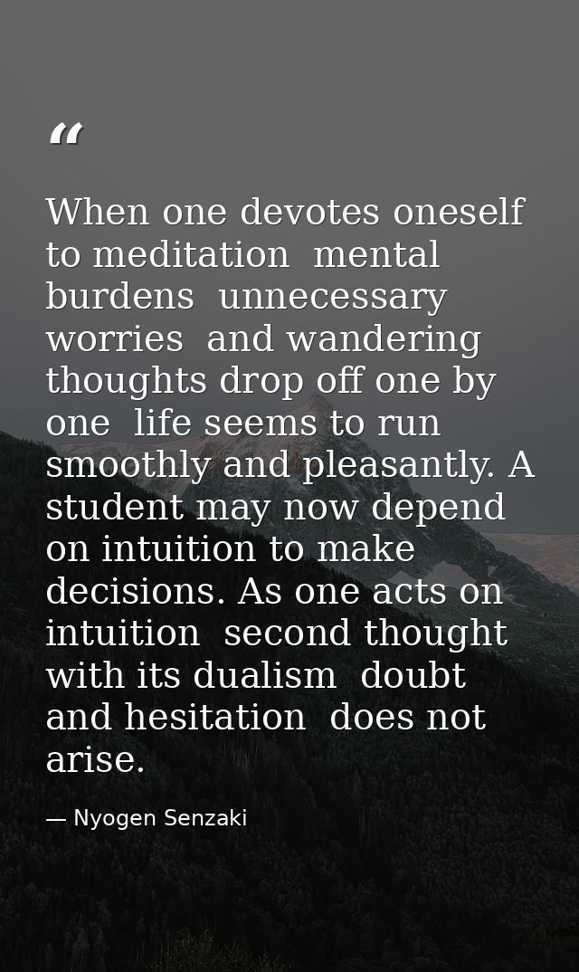 When one devotes oneself to meditation  mental burdens  unnecessary worries  and wandering thoughts drop off one by one  — Nyogen Senzaki