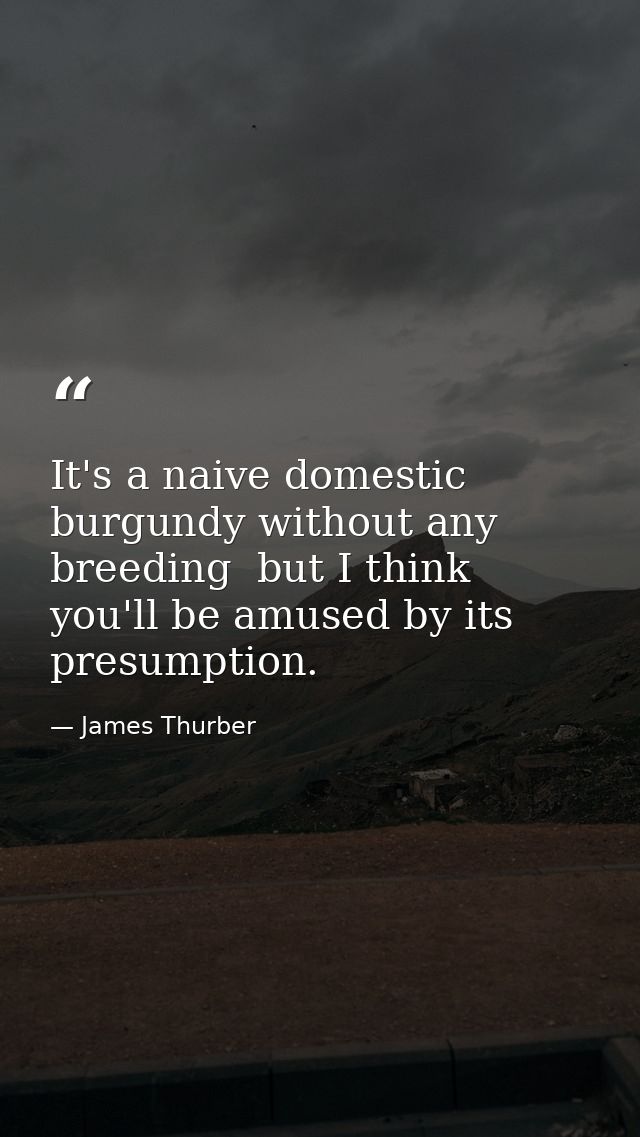 It's a naive domestic burgundy without any breeding  but I think you'll be amused by its presumption. — James Thurber
