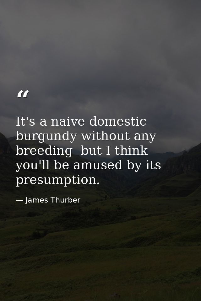 It's a naive domestic burgundy without any breeding  but I think you'll be amused by its presumption. — James Thurber