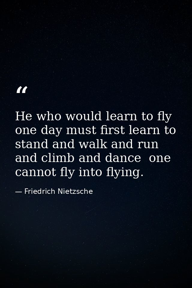 He who would learn to fly one day must first learn to stand and walk and run and climb and dance  one cannot fly into fl — Friedrich Nietzsche