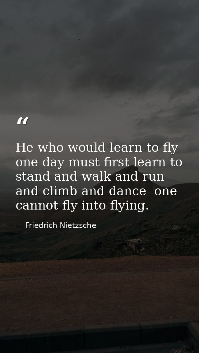He who would learn to fly one day must first learn to stand and walk and run and climb and dance  one cannot fly into fl — Friedrich Nietzsche