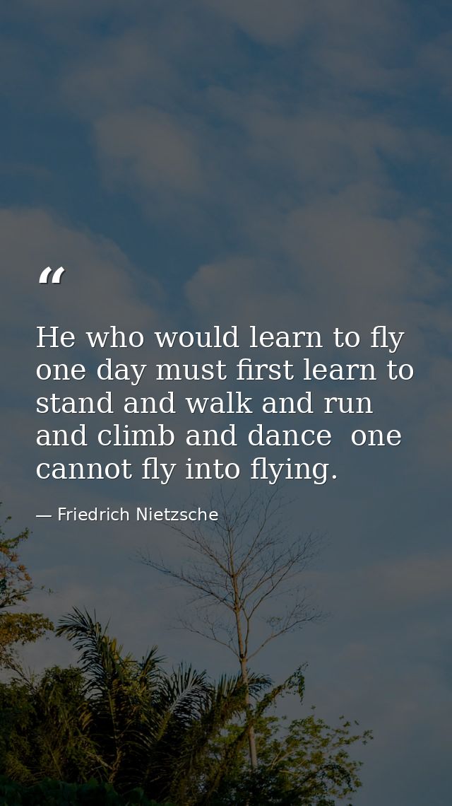 He who would learn to fly one day must first learn to stand and walk and run and climb and dance  one cannot fly into fl — Friedrich Nietzsche