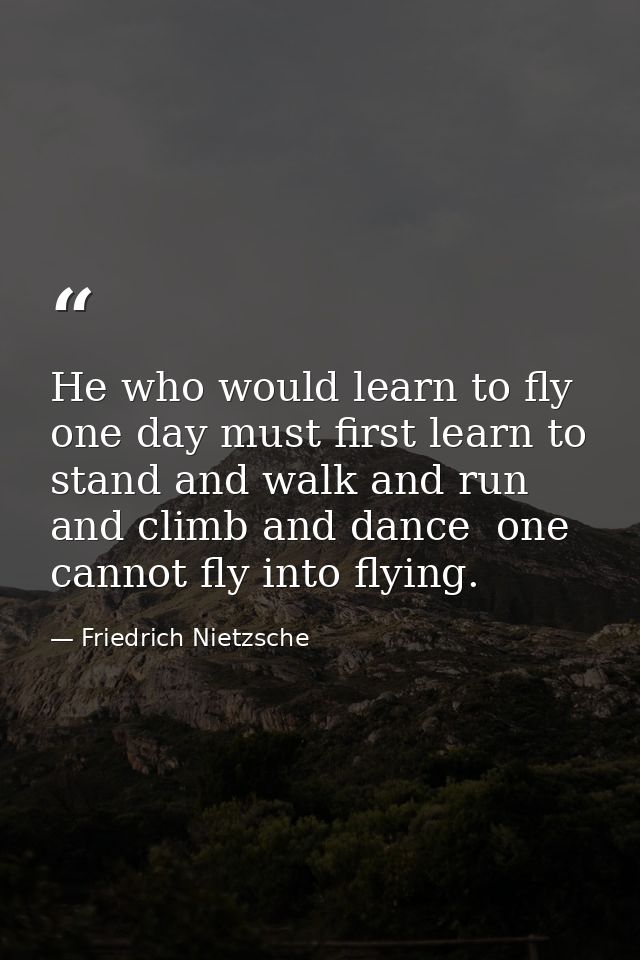 He who would learn to fly one day must first learn to stand and walk and run and climb and dance  one cannot fly into fl — Friedrich Nietzsche