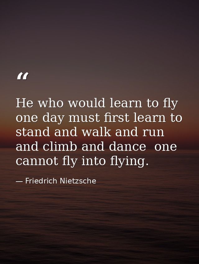 He who would learn to fly one day must first learn to stand and walk and run and climb and dance  one cannot fly into fl — Friedrich Nietzsche