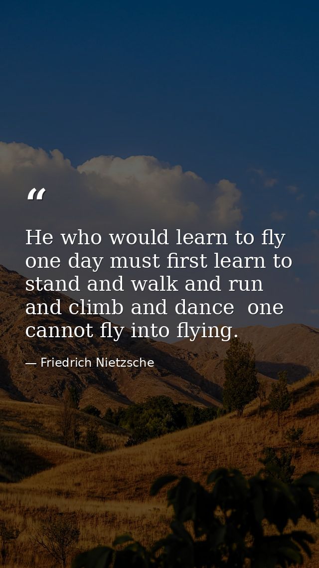 He who would learn to fly one day must first learn to stand and walk and run and climb and dance  one cannot fly into fl — Friedrich Nietzsche
