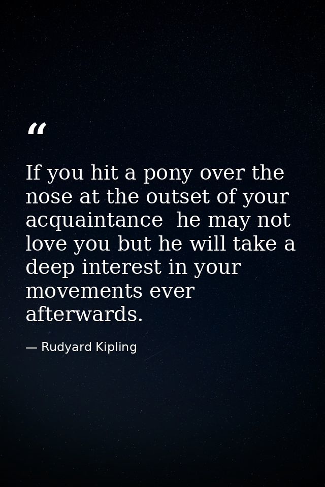If you hit a pony over the nose at the outset of your acquaintance  he may not love you but he will take a deep interest — Rudyard Kipling