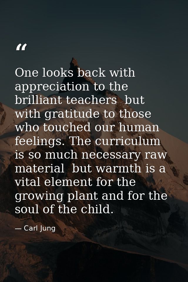 One looks back with appreciation to the brilliant teachers  but with gratitude to those who touched our human feelings.  — Carl Jung