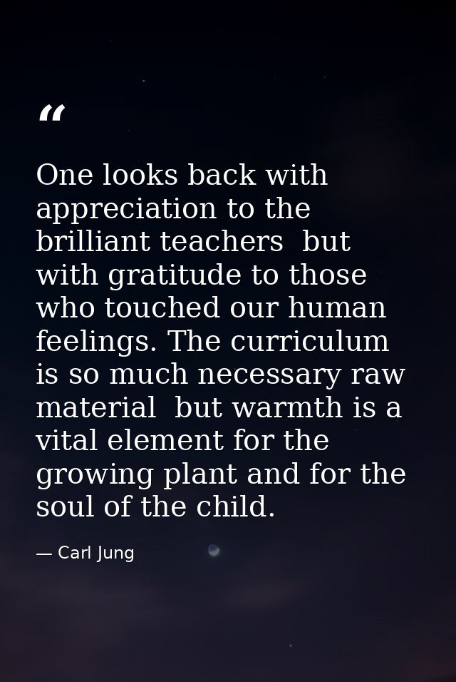 One looks back with appreciation to the brilliant teachers  but with gratitude to those who touched our human feelings.  — Carl Jung