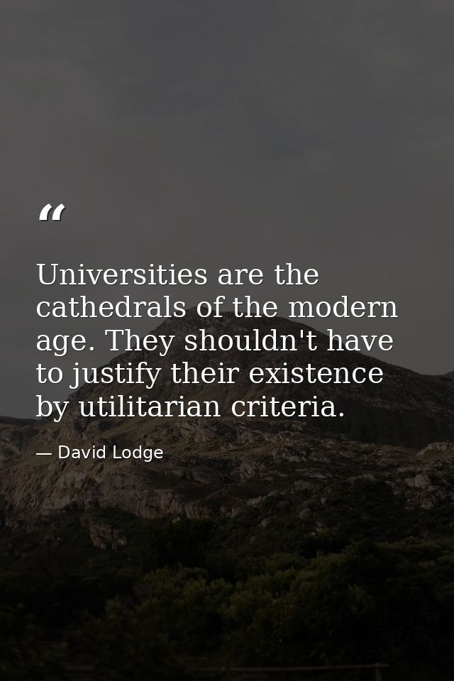 Universities are the cathedrals of the modern age. They shouldn't have to justify their existence by utilitarian criteri — David Lodge