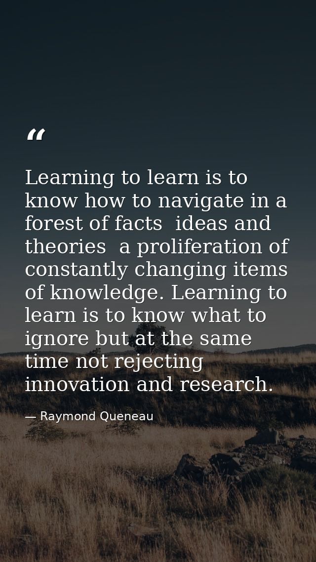 Learning to learn is to know how to navigate in a forest of facts  ideas and theories  a proliferation of constantly cha — Raymond Queneau
