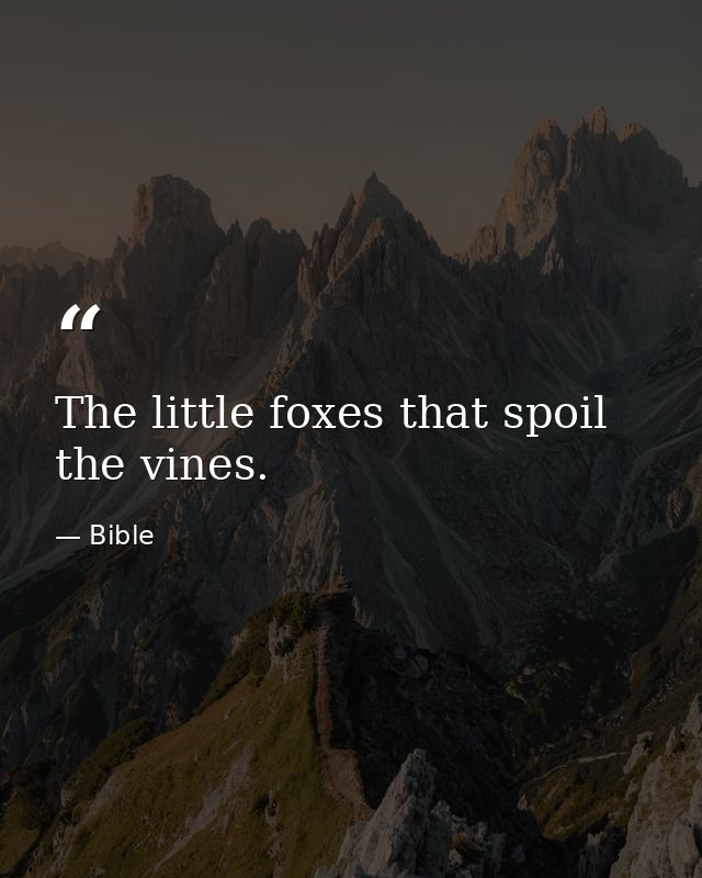The little foxes that spoil the vines. — Bible