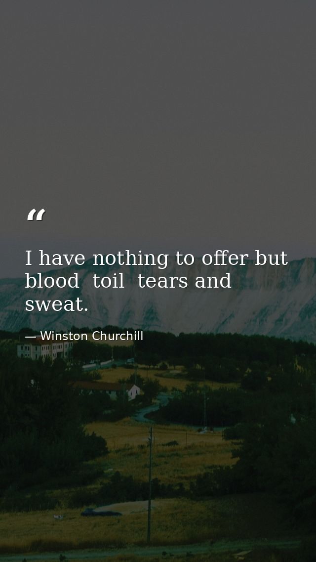 I have nothing to offer but blood  toil  tears and sweat. — Winston Churchill