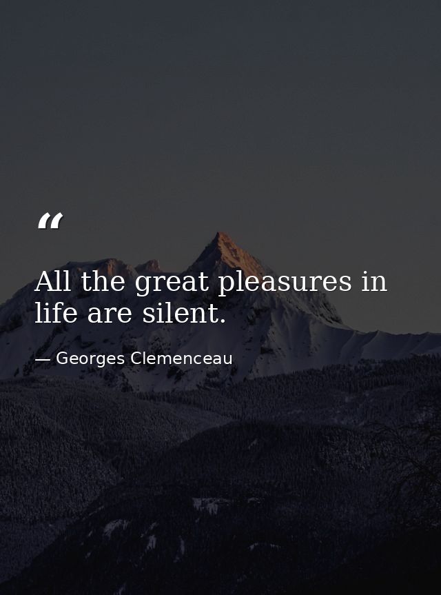 All the great pleasures in life are silent. — Georges Clemenceau