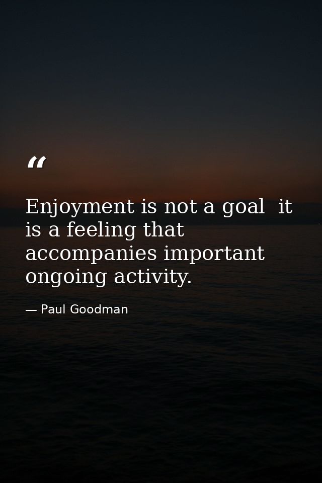 Enjoyment is not a goal  it is a feeling that accompanies important ongoing activity. — Paul Goodman