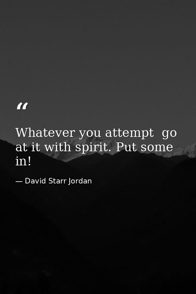 Whatever you attempt  go at it with spirit. Put some in! — David Starr Jordan