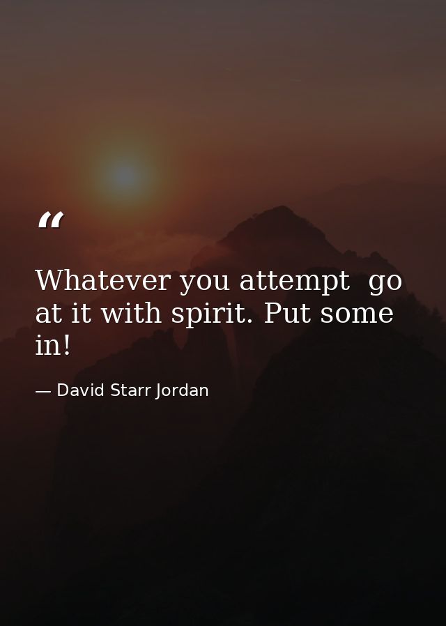 Whatever you attempt  go at it with spirit. Put some in! — David Starr Jordan