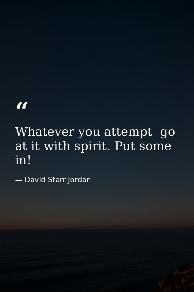 Whatever you attempt  go at it with spirit. Put some in! — David Starr Jordan