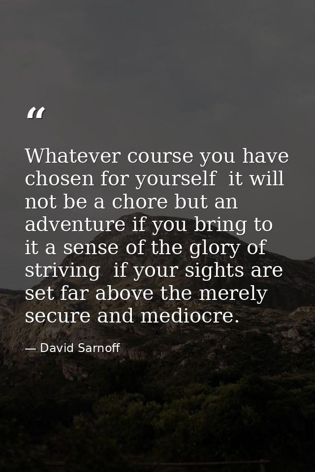 Whatever course you have chosen for yourself  it will not be a chore but an adventure if you bring to it a sense of the  — David Sarnoff