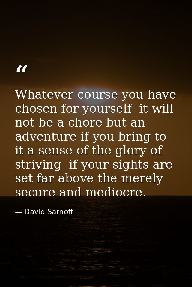 Whatever course you have chosen for yourself  it will not be a chore but an adventure if you bring to it a sense of the  — David Sarnoff