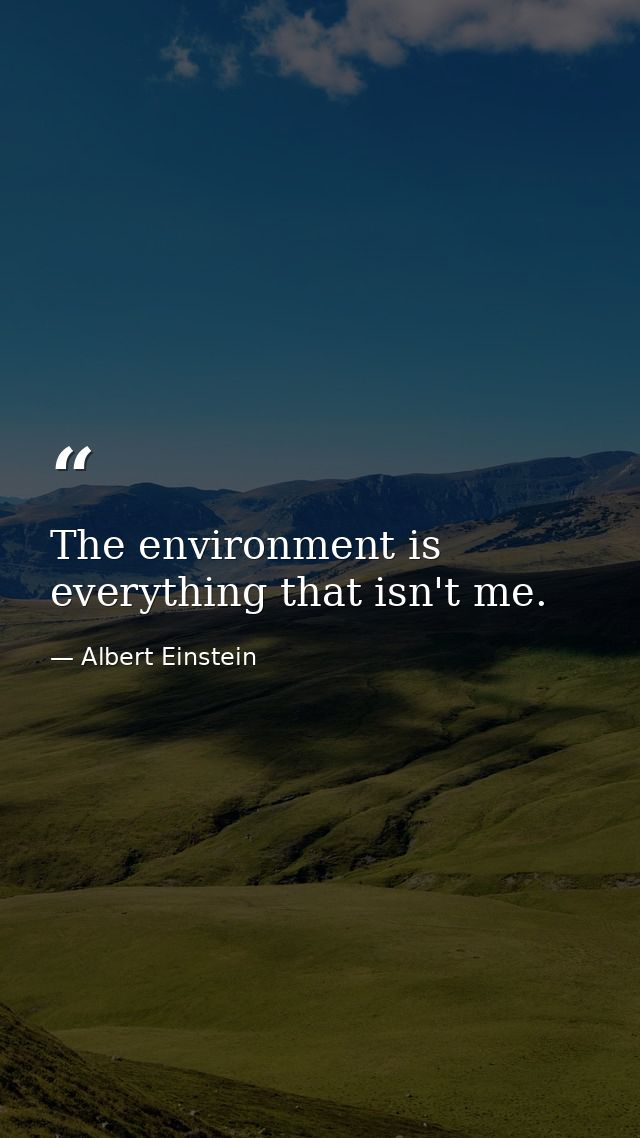 The environment is everything that isn't me. — Albert Einstein