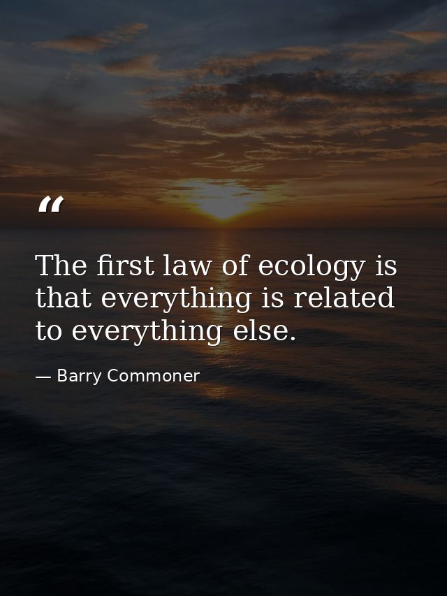 The first law of ecology is that everything is related to everything else. — Barry Commoner