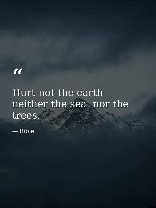 Hurt not the earth  neither the sea  nor the trees. — Bible