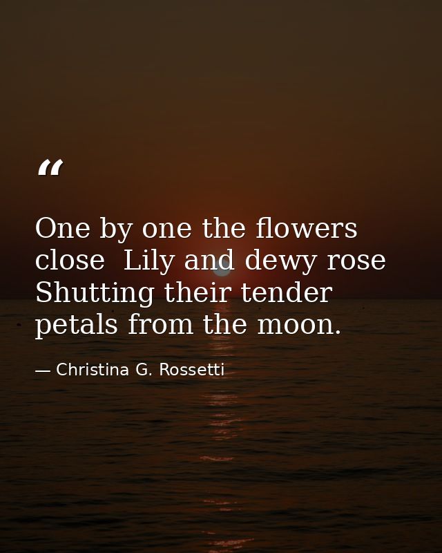 One by one the flowers close  Lily and dewy rose Shutting their tender petals from the moon. — Christina G. Rossetti