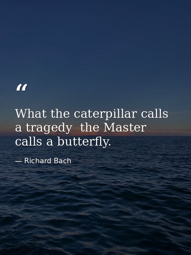 What the caterpillar calls a tragedy  the Master calls a butterfly. — Richard Bach