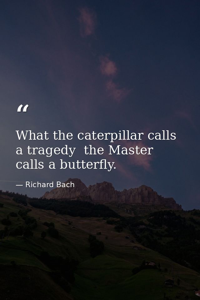 What the caterpillar calls a tragedy  the Master calls a butterfly. — Richard Bach
