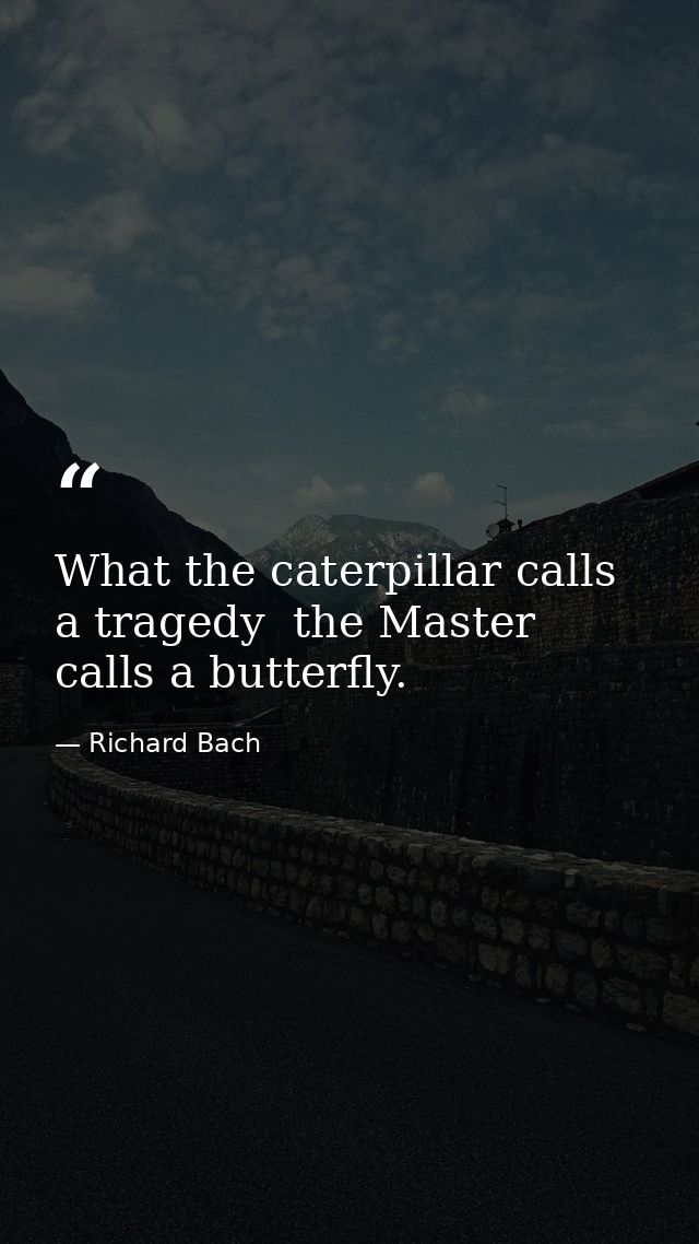 What the caterpillar calls a tragedy  the Master calls a butterfly. — Richard Bach