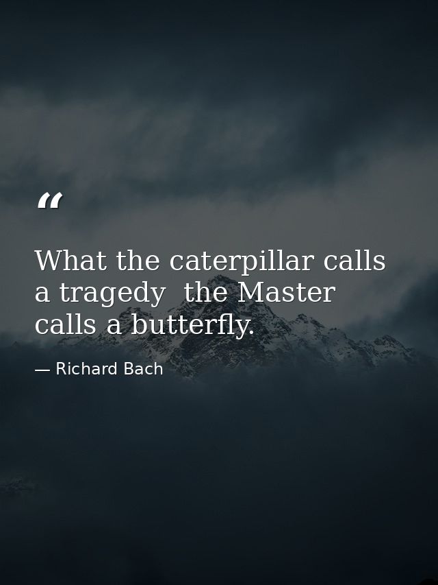 What the caterpillar calls a tragedy  the Master calls a butterfly. — Richard Bach