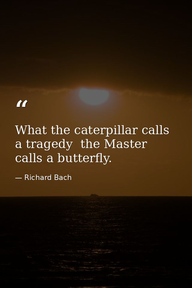 What the caterpillar calls a tragedy  the Master calls a butterfly. — Richard Bach