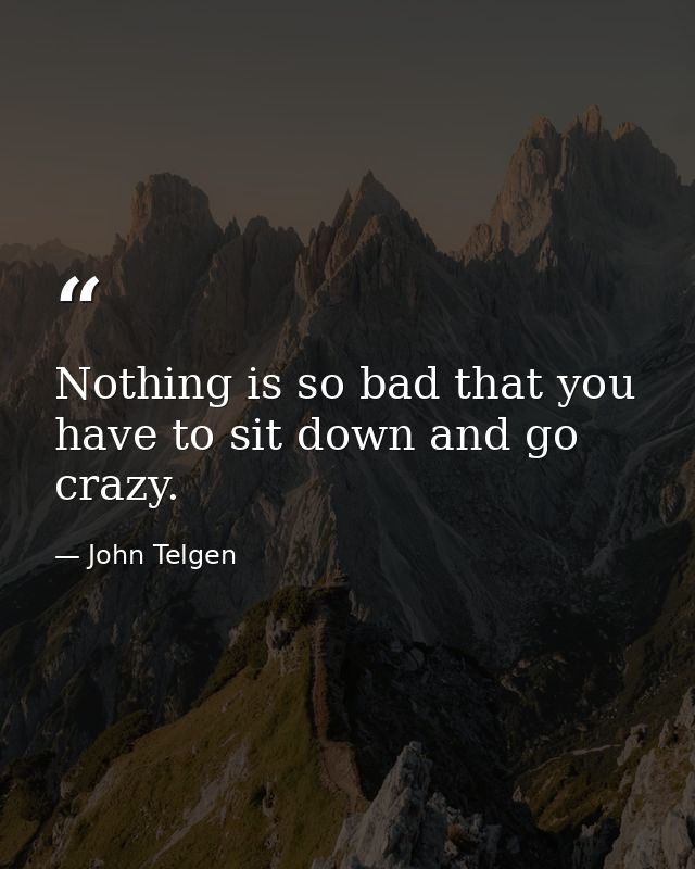 Nothing is so bad that you have to sit down and go crazy. — John Telgen
