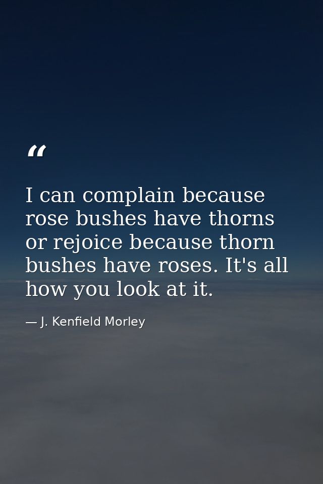 I can complain because rose bushes have thorns  or rejoice because thorn bushes have roses. It's all how you look at it. — J. Kenfield Morley