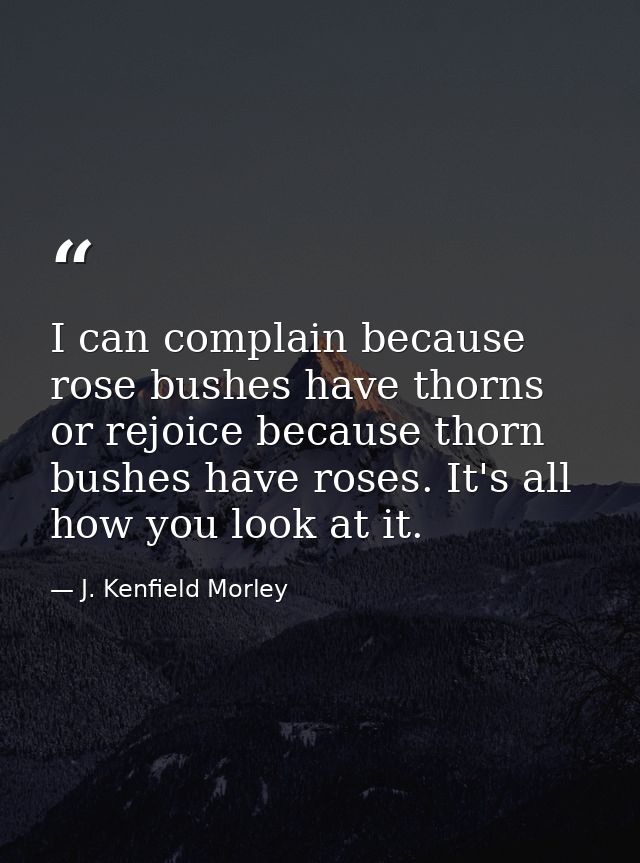 I can complain because rose bushes have thorns  or rejoice because thorn bushes have roses. It's all how you look at it. — J. Kenfield Morley
