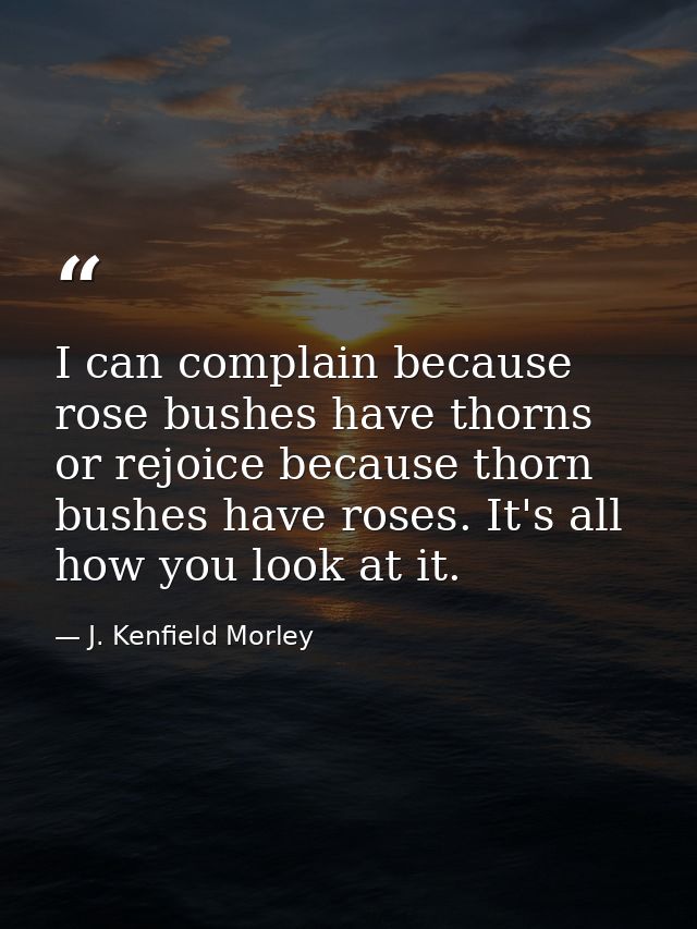 I can complain because rose bushes have thorns  or rejoice because thorn bushes have roses. It's all how you look at it. — J. Kenfield Morley