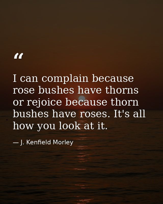 I can complain because rose bushes have thorns  or rejoice because thorn bushes have roses. It's all how you look at it. — J. Kenfield Morley
