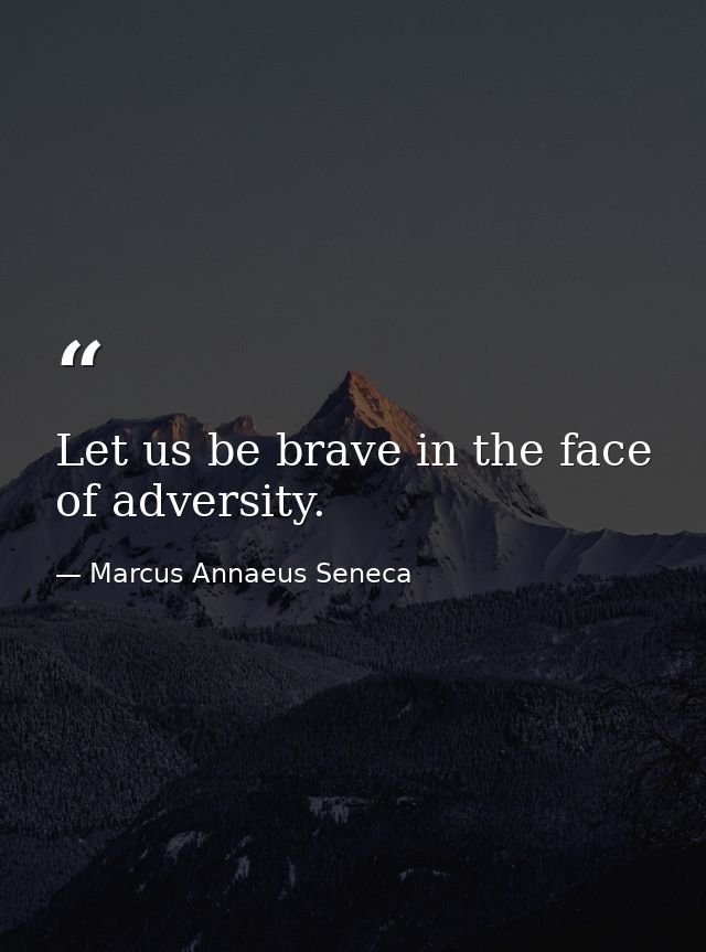 Let us be brave in the face of adversity. — Marcus Annaeus Seneca