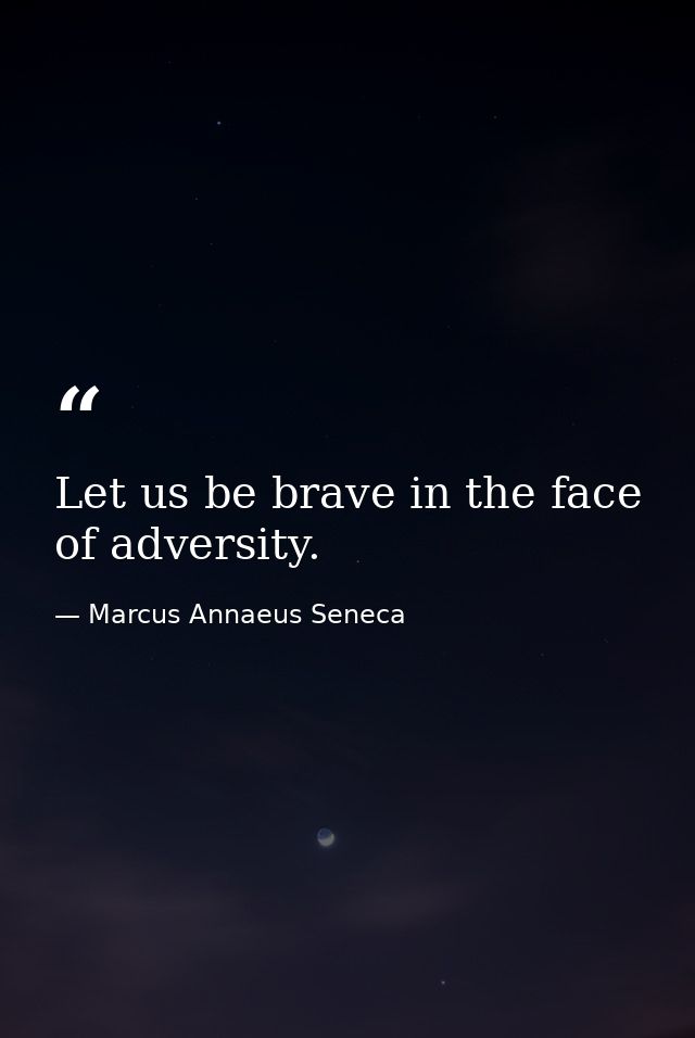 Let us be brave in the face of adversity. — Marcus Annaeus Seneca