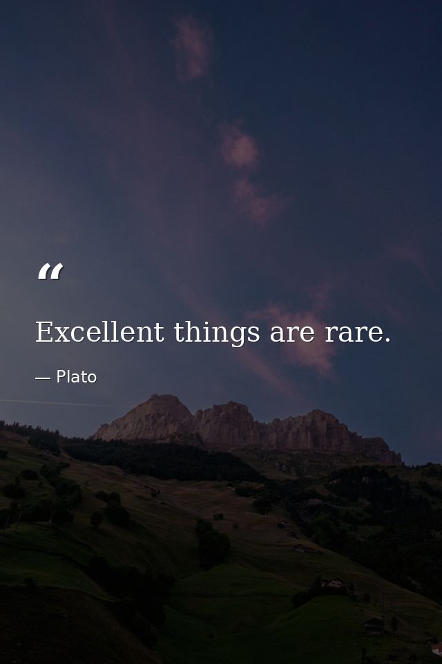 Excellent things are rare. — Plato