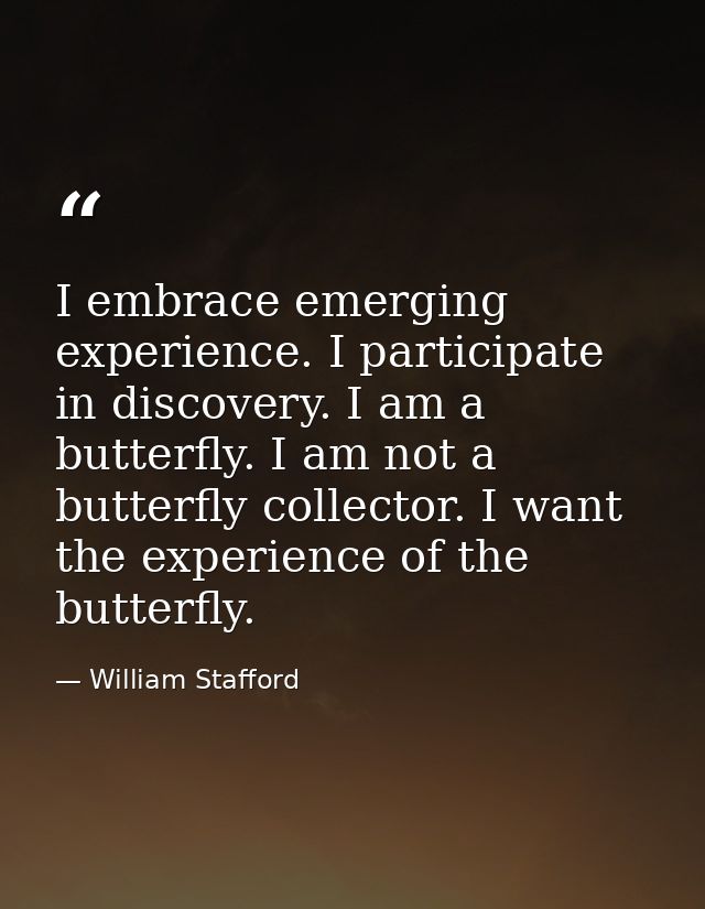 I embrace emerging experience. I participate in discovery. I am a butterfly. I am not a butterfly collector. I want the  — William Stafford