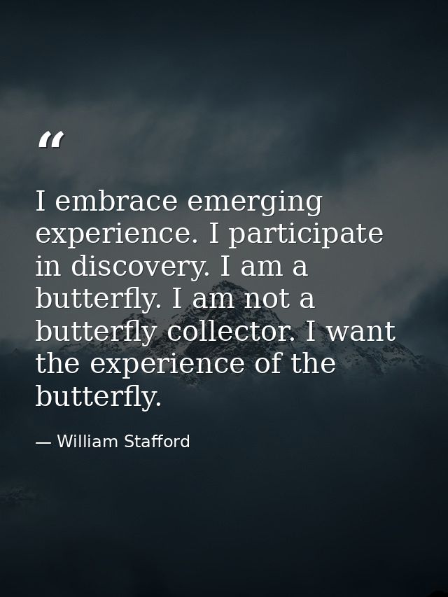 I embrace emerging experience. I participate in discovery. I am a butterfly. I am not a butterfly collector. I want the  — William Stafford