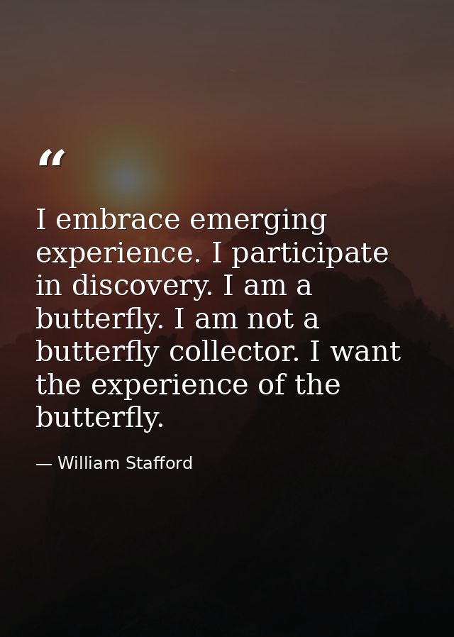 I embrace emerging experience. I participate in discovery. I am a butterfly. I am not a butterfly collector. I want the  — William Stafford