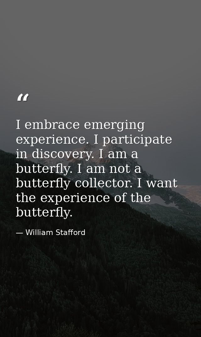 I embrace emerging experience. I participate in discovery. I am a butterfly. I am not a butterfly collector. I want the  — William Stafford