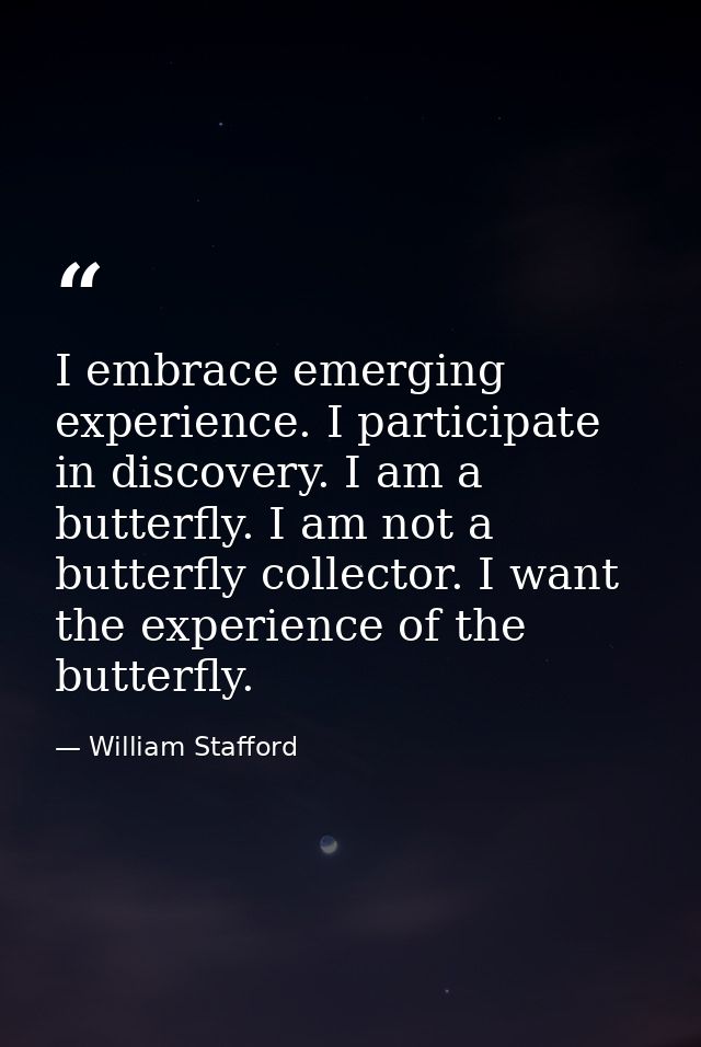 I embrace emerging experience. I participate in discovery. I am a butterfly. I am not a butterfly collector. I want the  — William Stafford