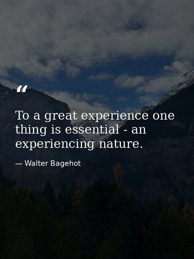 To a great experience one thing is essential - an experiencing nature. — Walter Bagehot